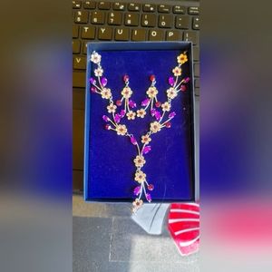 The Danbury mint necklace with earrings